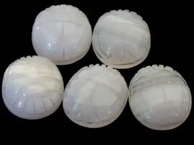 CABOCHON BLUE LACE AGATE SCARAB 18.2 CARATS 5PCS RO2926