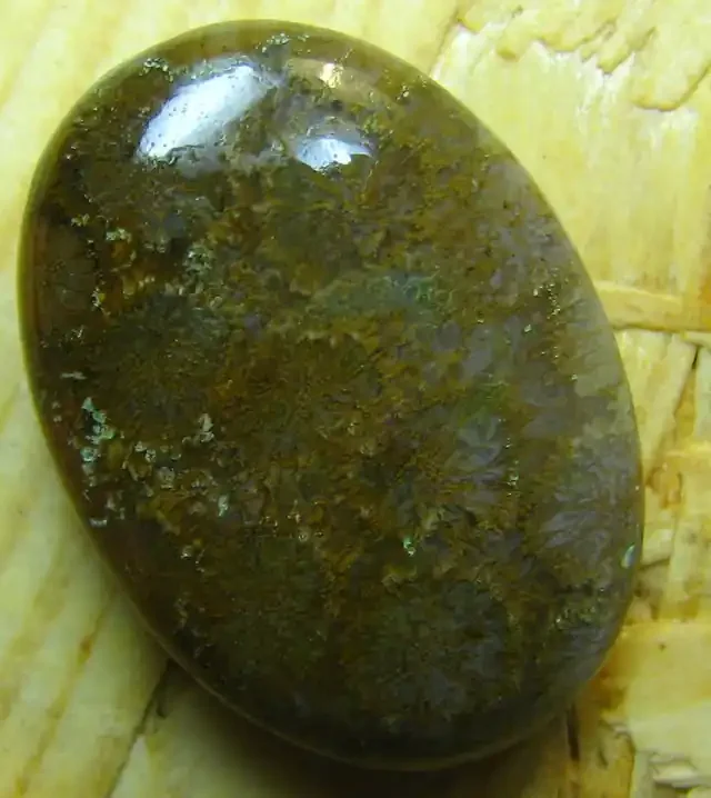 CABOCHON FOSSIL CORAL STONE FROM INDONESIA 22.75 CTS