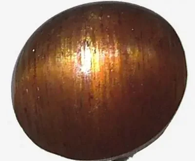 CATS EYE SUNSTONE 1.7 CTS [S3069 ]