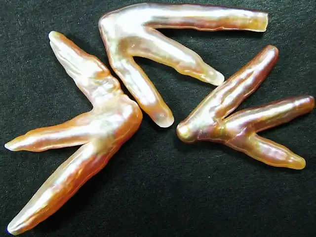 ‘CHICKEN FEET‘ KESHI PEARLS -HIGH LUSTER 32CTS [PF423]