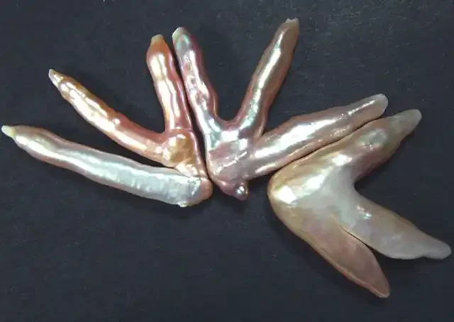 ‘CHICKEN FEET‘ KESHI PEARLS -HIGH LUSTER 40 CTS [PF383]