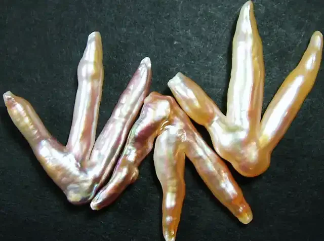 ‘CHICKEN FEET‘ KESHI PEARLS -HIGH LUSTER 40 CTS [PF394]