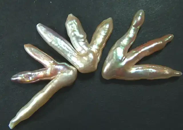 ‘CHICKEN FEET‘ KESHI PEARLS -HIGH LUSTER 45CTS [PF370]