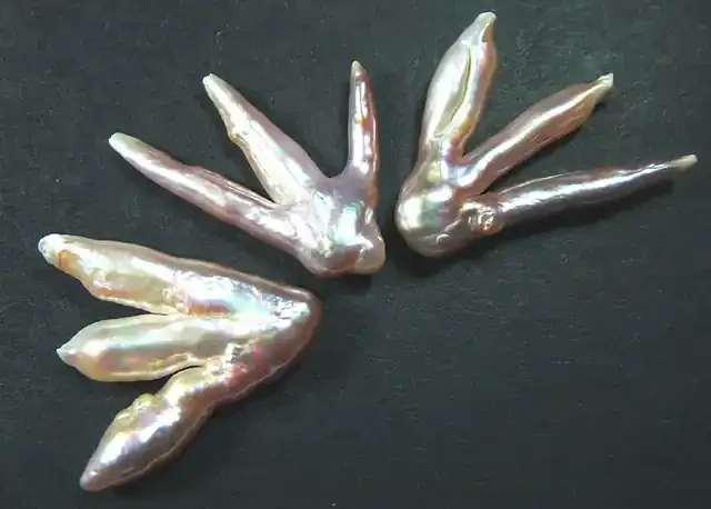 ‘CHICKEN FEET‘ KESHI PEARLS -HIGH LUSTER 50CTS [PF373]