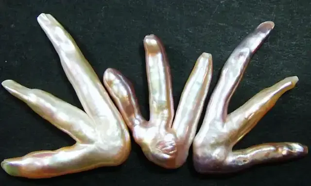 ‘CHICKEN FEET‘ KESHI PEARLS -HIGH LUSTER 52CTS [PF392]