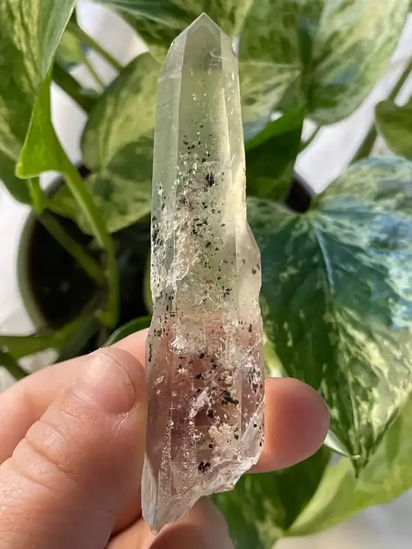 Citrine with Actinolite and Chlorite Inclusions, Citrine Quartz from Harisson Lake, British Columbia, Canada