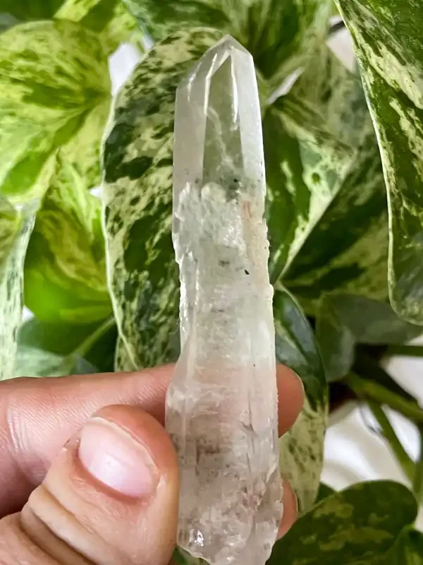 Citrine with Actinolite and Chlorite Inclusions, Citrine Quartz from Harisson Lake, British Columbia, Canada