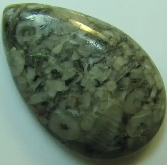 CRINOID FOSSIL CABOCHON CUT STONE 20.10 CTS