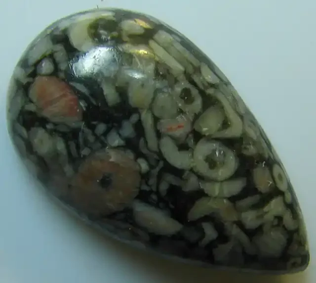 CRINOID FOSSIL CABOCHON CUT STONE 26.70 CTS