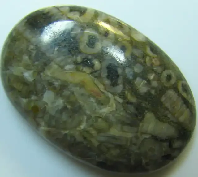 CRINOID FOSSIL CABOCHON CUT STONE 30.05 CTS
