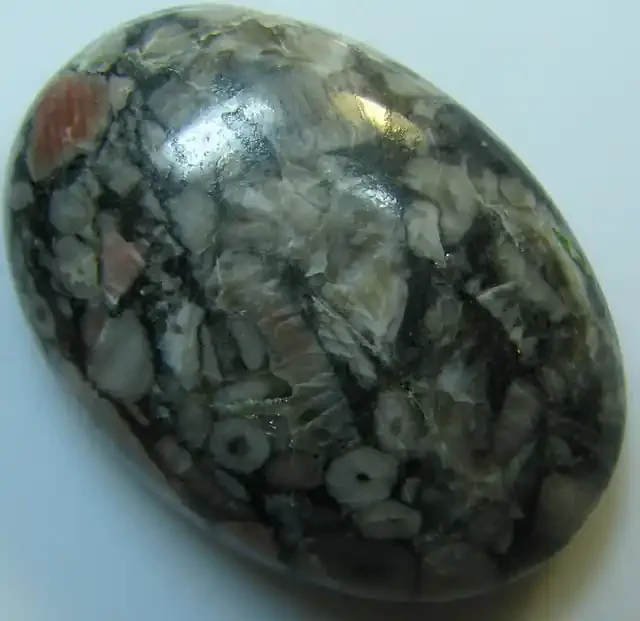 CRINOID FOSSIL CABOCHON CUT STONE 39.15 CTS