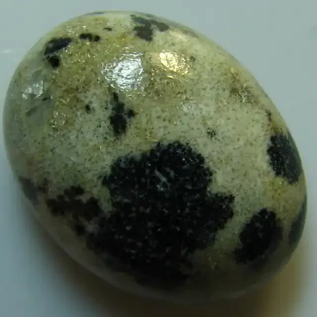 DALMATION JASPER CABOCHON STONE 10.20 CTS
