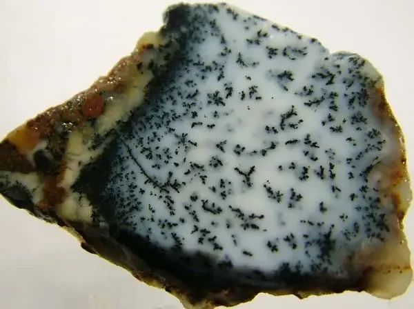 DENDRITIC OPAL -ROUGH 38CTS [MFJP2847]