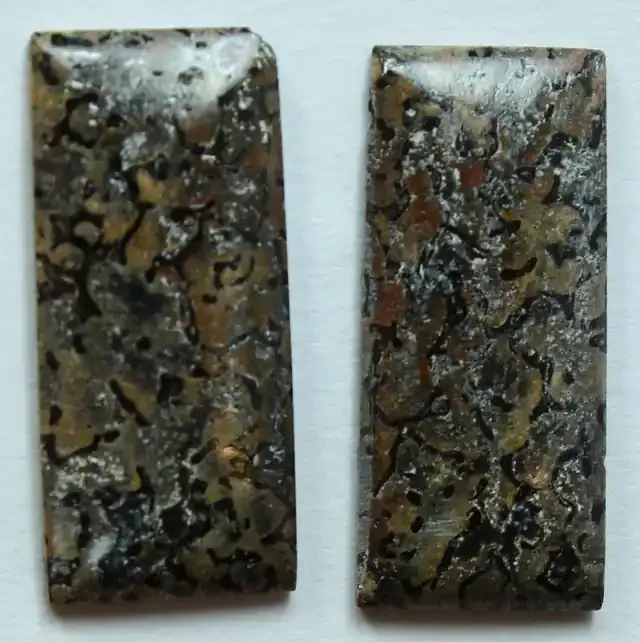 DINOSAUR BONE PAIR OF FOSSIL STONES 8.85 CTS