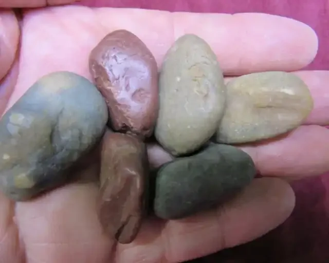 Dinosaur Gastroliths 6 Pieces AGR 1521