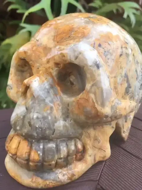 Dual tone Jasper Gemstone Skull