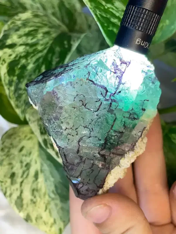 Etched Green Fluorite from Erongo Mountain, Erongo Region, Namibia