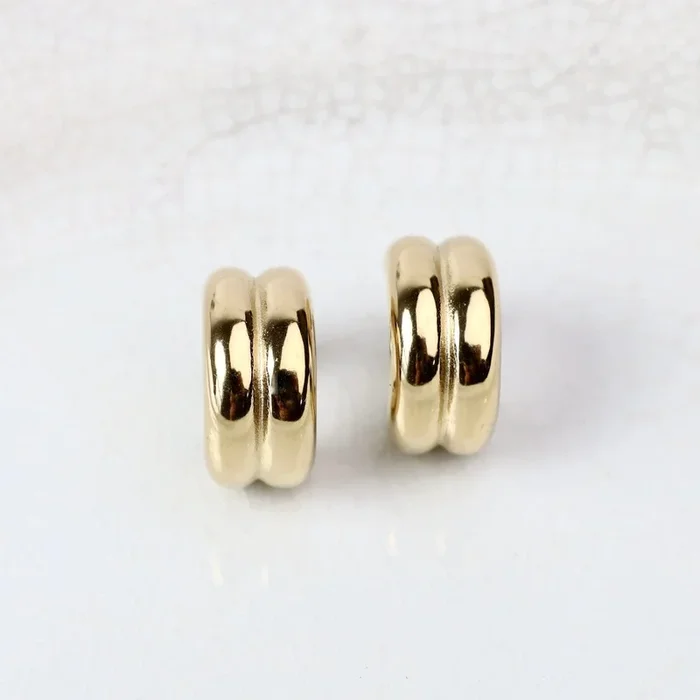 Gold Plated Stainless Steel Roni Hoop Earrings