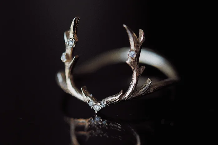 Guardian Ring
