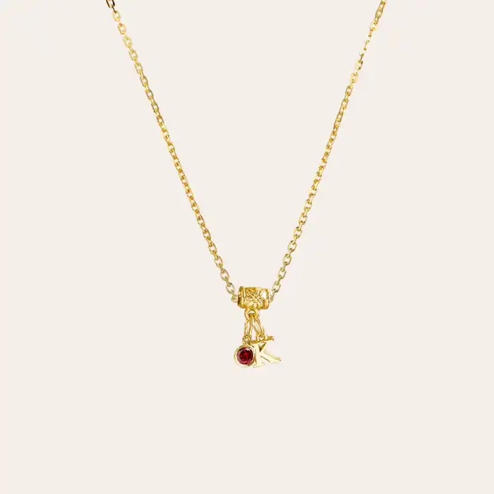 Helloice Initial & Birthstone Charm Necklace