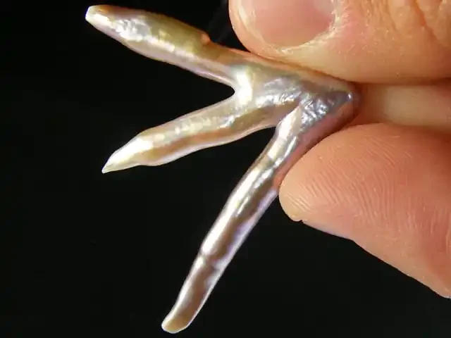 HIGH LUSTRE QUALITY PEACE SYMBOL KEISHI PEARL 11 CTS SG1359