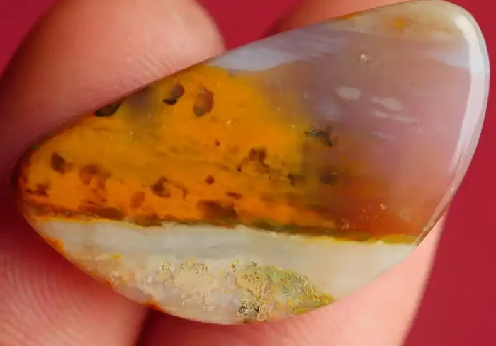 INDONESIAN PETRIFIED WOOD OPAL AA GRADE 19.45 CRT