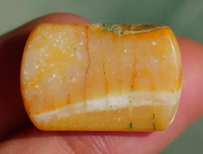 INDONESIAN PETRIFIED WOOD OPAL AA GRADE 21.00 CRT