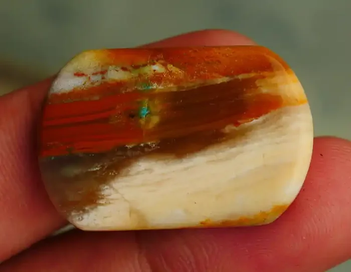 INDONESIAN PETRIFIED WOOD OPAL AA GRADE 33.45 CRT
