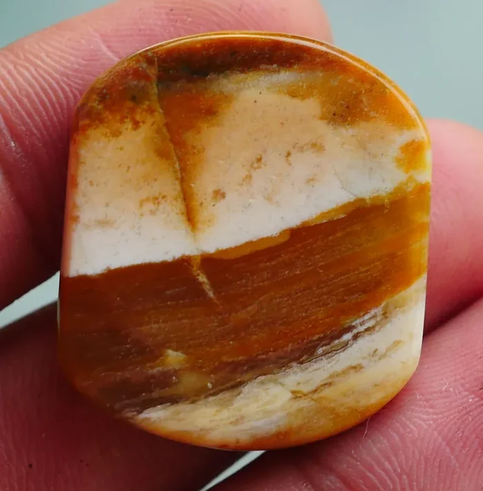 INDONESIAN PETRIFIED WOOD OPAL AA GRADE 38.60 CRT