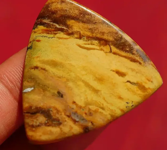INDONESIAN PETRIFIED WOOD OPAL AA GRADE 39.55 CRT