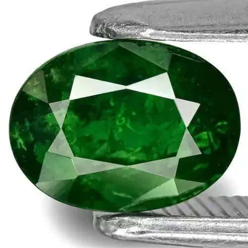Kenya Tsavorite Garnet, 1.04 Carats, Dark Green Oval