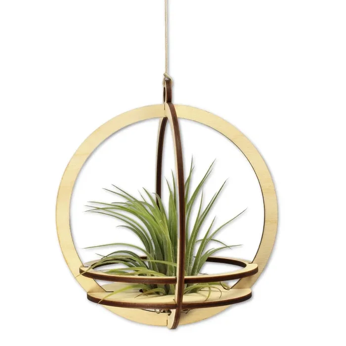 Large Orbit Air Plant Holder with Base and Plant