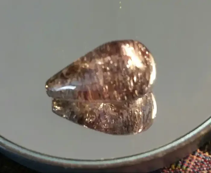 LIGHT SMOKEY QUARTZ CABOCHON WITH MULTIPLE TYPES OF INCLUSION – LARGE SIZE