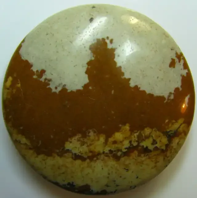 LRG PICTURE JASPER CABOCHON STONE 95.50 CTS