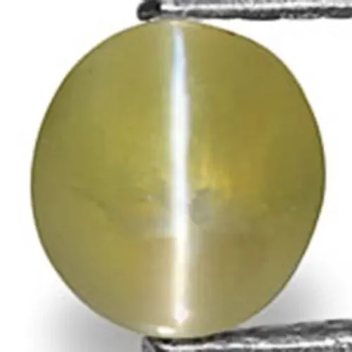 Madagascar Chrysoberyl Cat‘s Eye, 1.26 Carats, Greyish Green Oval