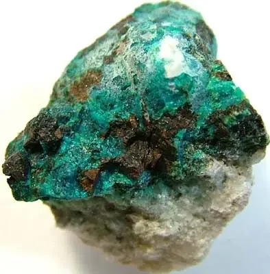 (MGW) CHYSOCOLLA SPECIMEN FROM UTAH USA 60 CTS FP 759