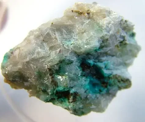 (MGW) CHYSOCOLLA SPECIMEN FROM UTAH USA 85 CTS FP 762