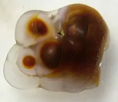 (MGW) FIRE AGATE SPECIMEN 35 CTS FP 1073