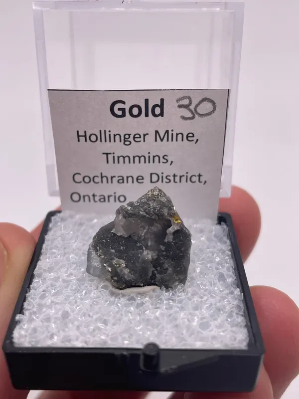 @mohlsen – Cretaceous Artifacts