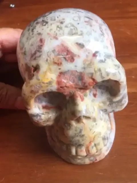 Motley dual color Jasper Gemstone Skull