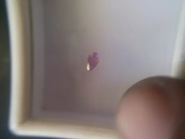 NATURAL ARGYLE DARK-PINK DIAMOND, 0.15CTWSIZE-1PCS