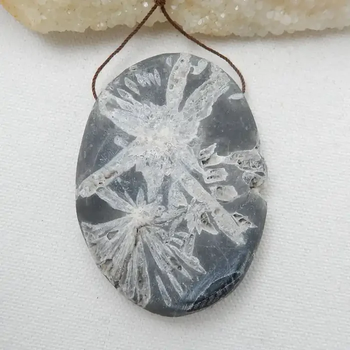 Natural Chrysanthemum Fossil Gemstone Stone Pendant, 72x52x11mm H9962