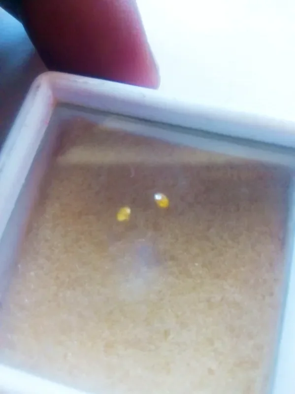 NATURAL -DARKYELLOWDIAMOND,1.5MM-SI-2PCS,