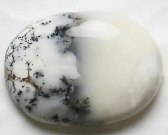 Natural Dendritic Agate Cab Stone Y2