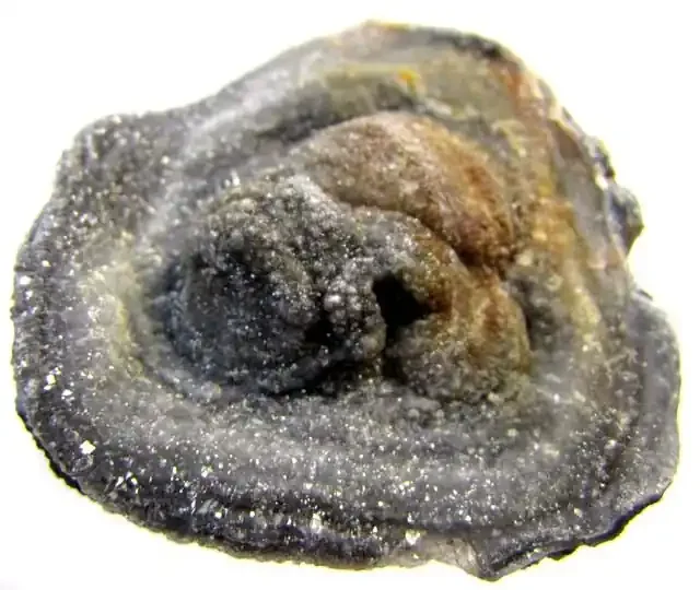 NATURAL DRUSSY SPECIMEN 69.95 CTS RT 296