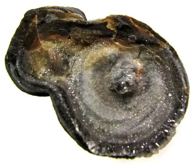 NATURAL DRUSSY SPECIMEN 72.65 RT 310