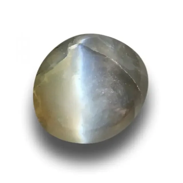 Natural Green Catseye Loose Gemstone New Sri Lanka