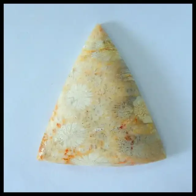 Natural Indonesian Coral Triangular Cabochon,47x40x8mm,75ct(17060401)