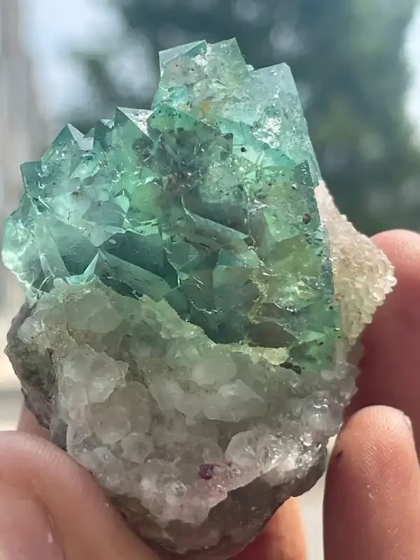 Orange River Fluorite from Riemvasmaak South Africa