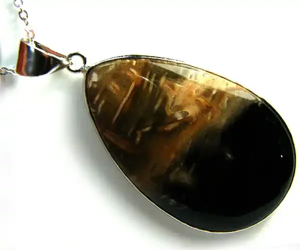 PALM ROOT FOSSIL SET IN PENDANT 60 CARATS AAA1906